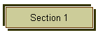 Section 1