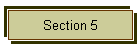 Section 5