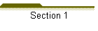 Section 1