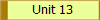 Unit 13