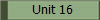Unit 16
