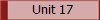 Unit 17