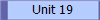 Unit 19