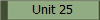 Unit 25