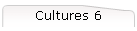 Cultures 6